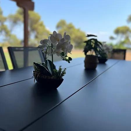Villa Villa-alpha *